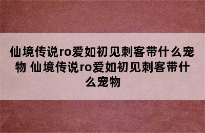 仙境传说ro爱如初见刺客带什么宠物 仙境传说ro爱如初见刺客带什么宠物